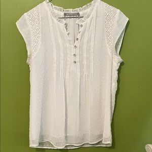 Daniel Rainn Swiss Dot Crochet Insert Top